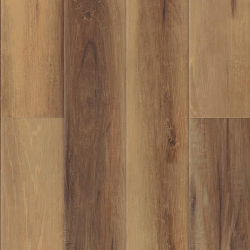 Belmont Hickory