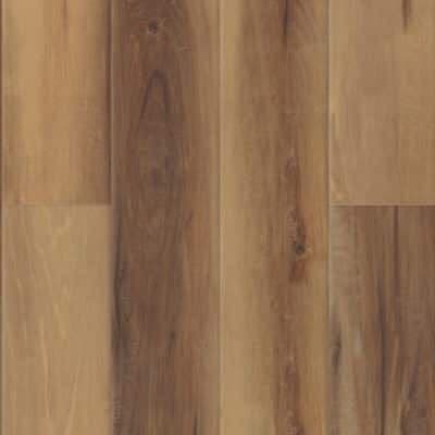 Belmont Hickory
