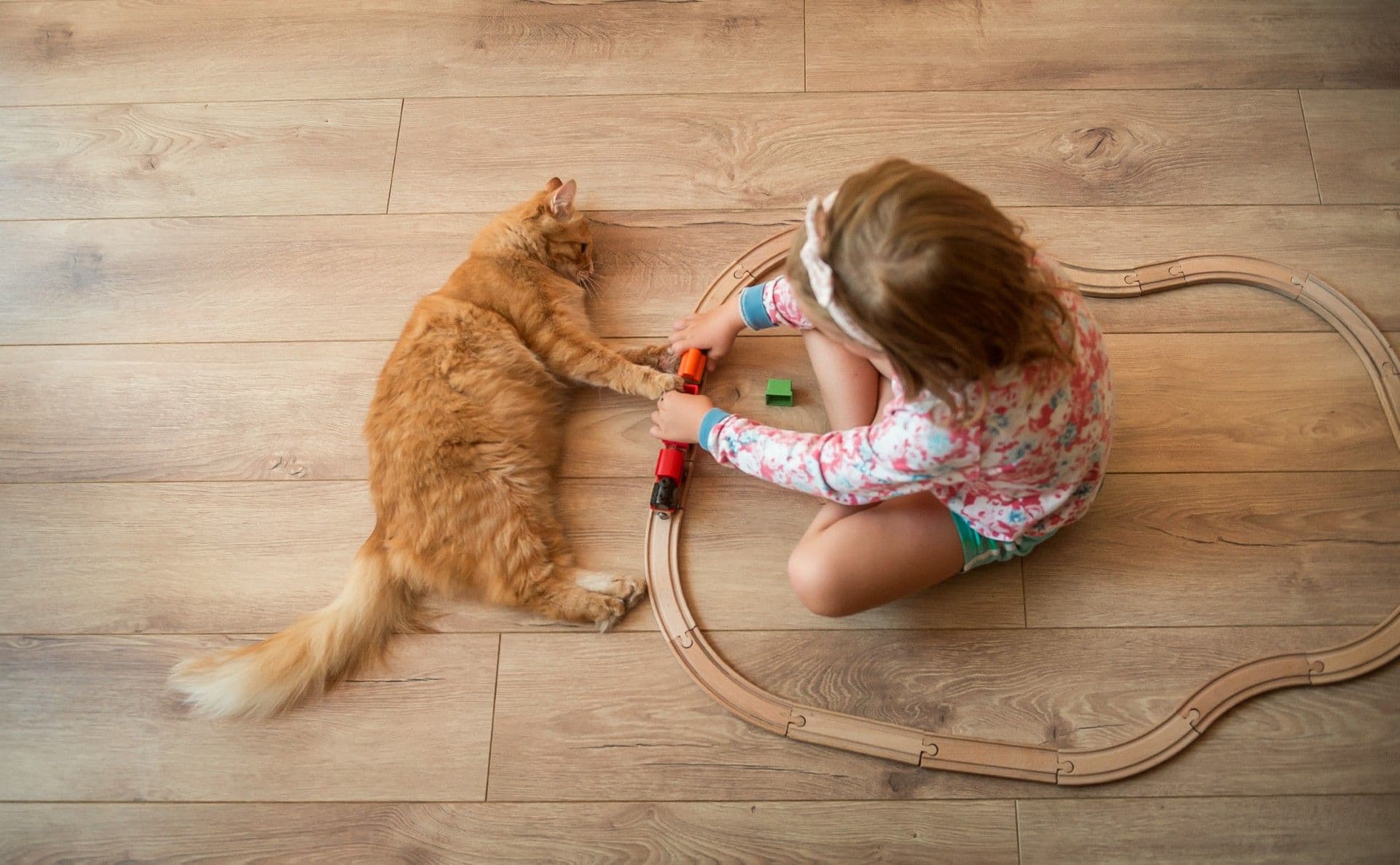 Girl playing on floor with train and cat