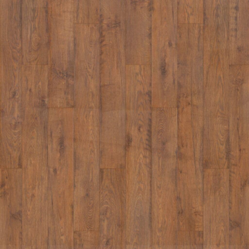 Twilight Oak