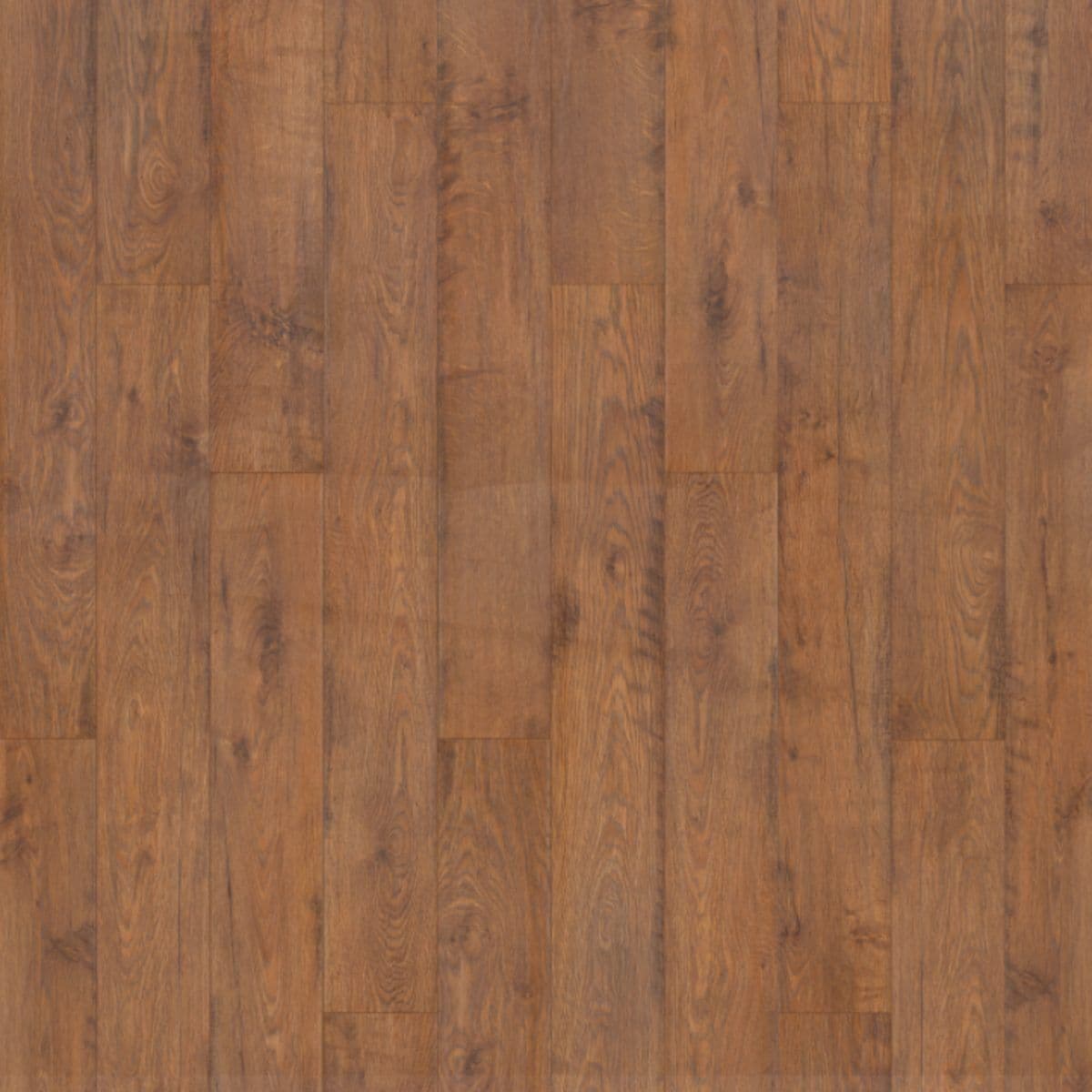 Twilight Oak